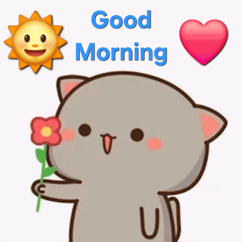 :morning:
