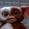 Gizmo