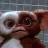 Gizmo