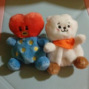 RJ and Tata ~ BT21